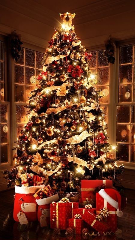 sarankgf's tweet photo. @OfficialPefi @base Happy christmas pefi 🐸🧑‍🎄⛄🤝

#Christmas #Giveaway #PEFI https://t.co/vxDlP3mLSI