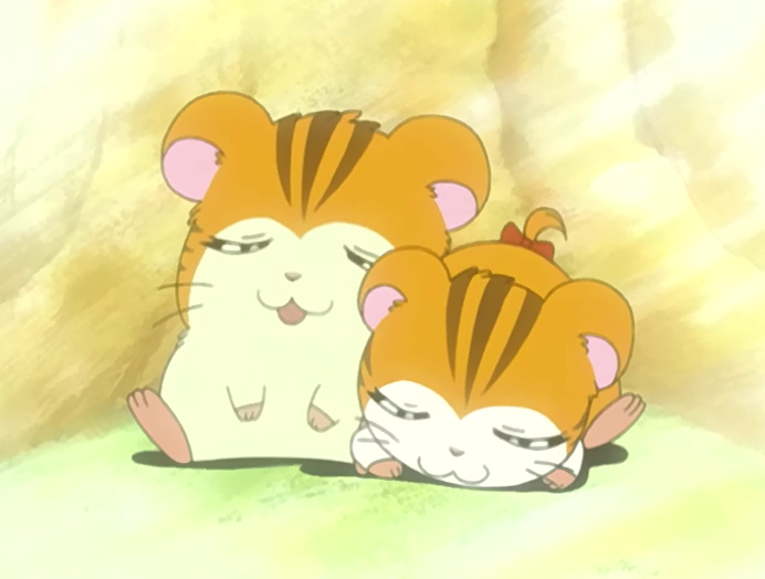 はむたろう にゃこ on X