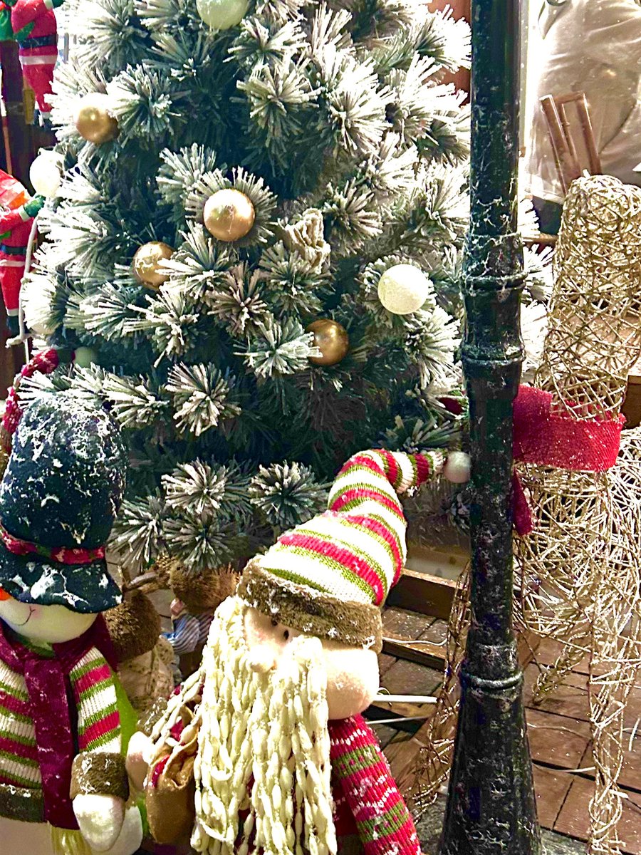 🍎zhizhi tweet media