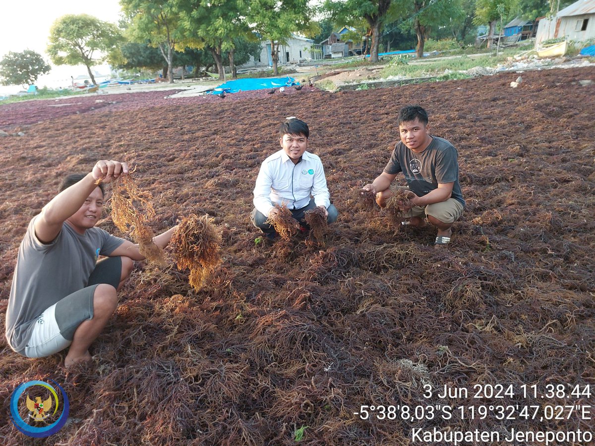 Hasriandi Fishery tweet media