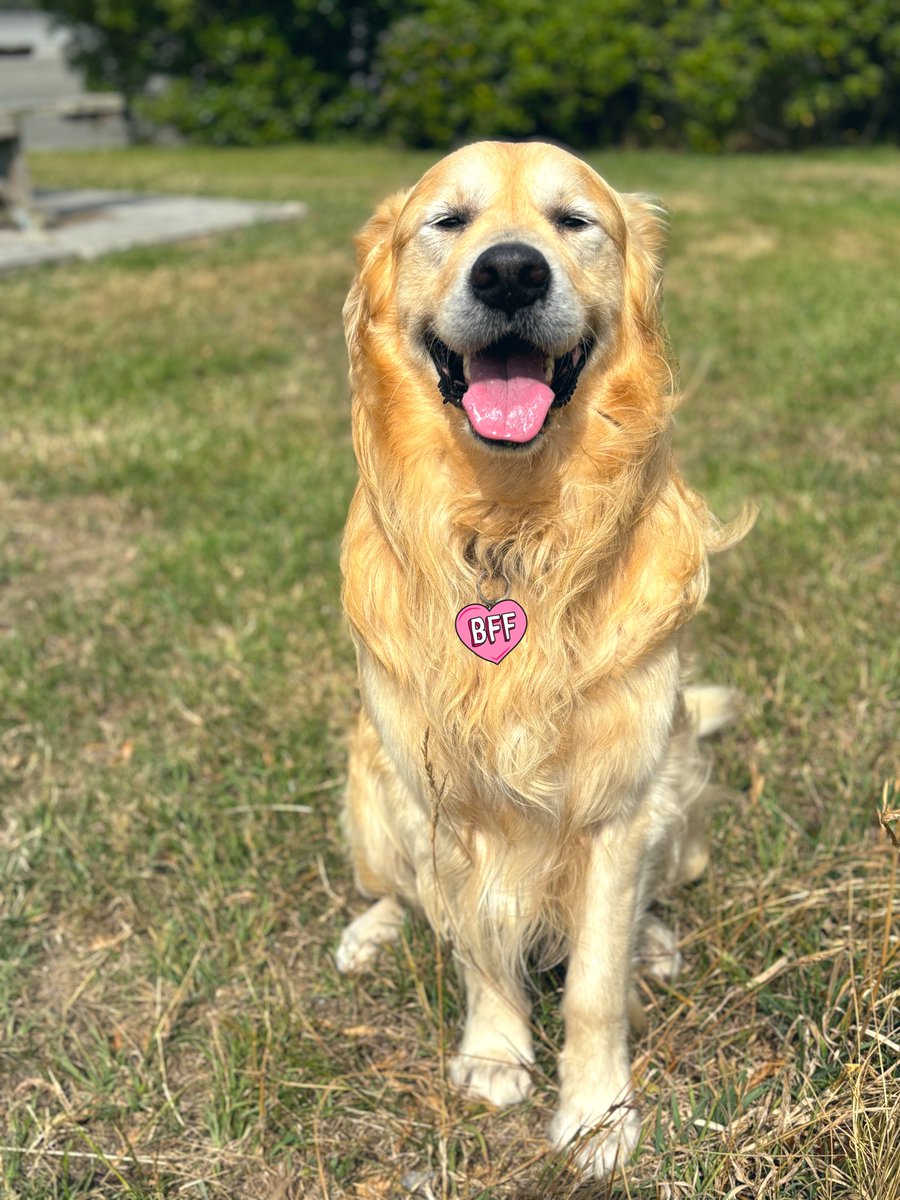 查理今天五岁了🎂