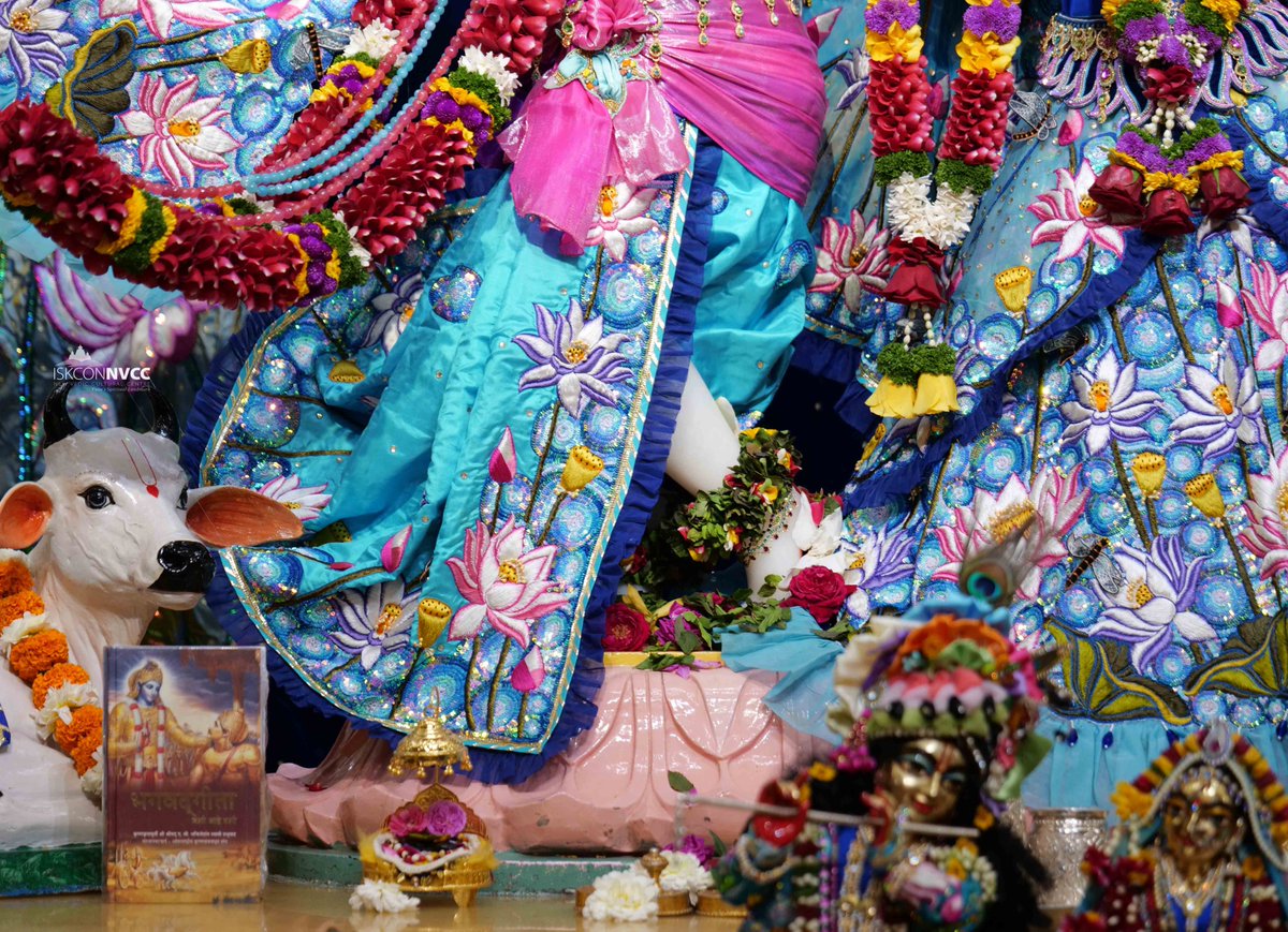 🙏🏽Today's Darshan 📿 🗓25-12-2024🙏
🌷Sri Sri Radhavrindavanchandra🌷
🚩@ISKCONNVCCPune🚩
.
.
#ISKCONNVCC #ISKCONPune #ISKCONNVCCPune #ISKCON
#25thdecember #25thdecember2024 #Wednesday
#Harinaamsankirtan #Radheshyamdas #Radheradhe
#Sankirtan #Kirtan #Vrindavan #Mayapur