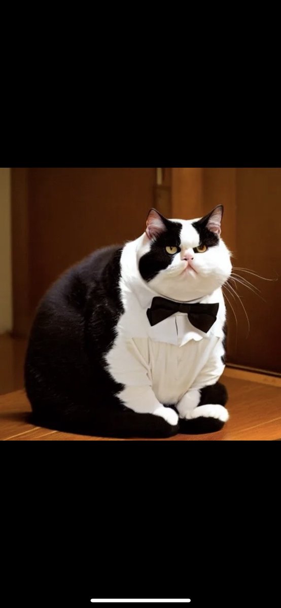 magical_tux's tweet image. Merry Christmas $TUX family