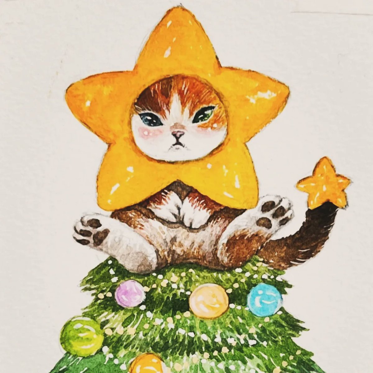 🐈🐧 (@midwinter_02) / Posts / X