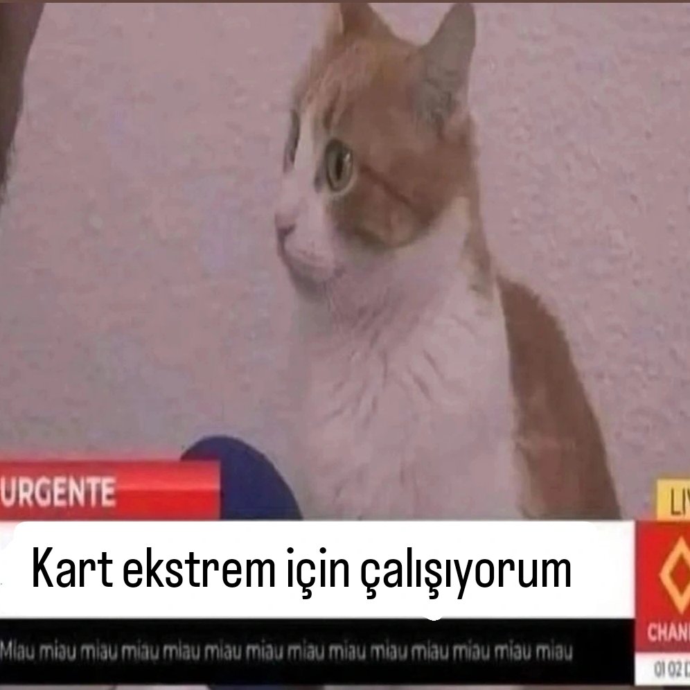 ANLIK (@anlikmod) on Twitter photo 