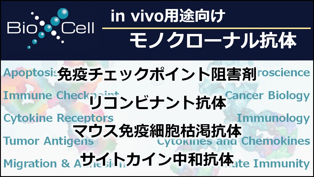 tfs_glocal's tweet photo. Bio X Cell社 新製品を追加しました。

ラットCD47抗体
マウスCXCL16 (SR-PSOX)抗体
ラットCD86 (B7-2)抗体
RecombiMAb マウスPD-1 (CD279)抗体
など

詳しくはこちら
https://t.co/zSwopDpScp

#抗体 #InvivoAntibodies #東京未来スタイル #BioXCell https://t.co/jJbOX6vEIM