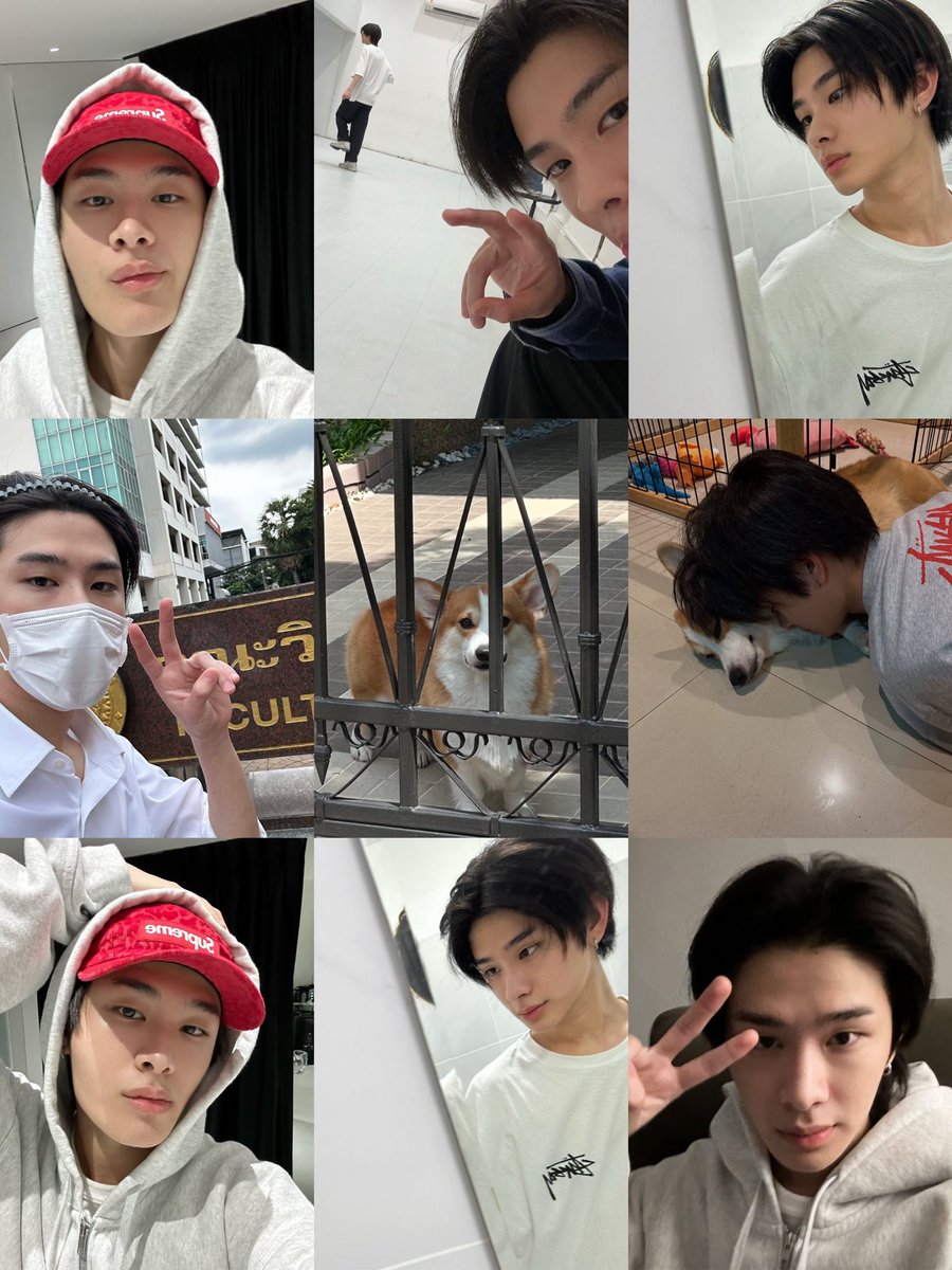 ㅌㄴ tweet media