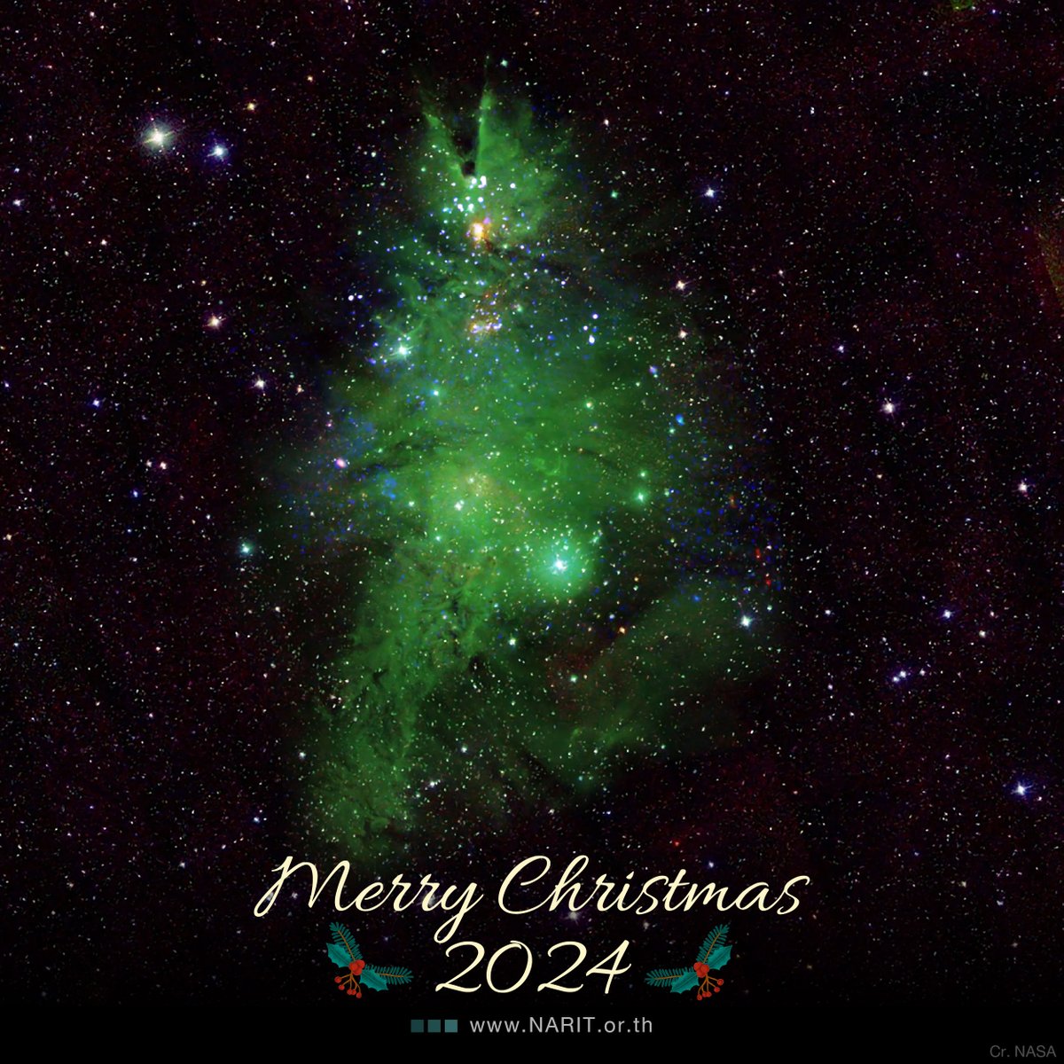 NARIT_Thailand's tweet image. Merry Christmas 2024 ! 🎄⭐ 

กระจุกดาวต้นคริสต์มาส (Christmas Tree Cluster) หรือ NGC 2264 อยู่ห่างจากโลก 2,500 ปีแสง ในกลุ่มดาวยูนิคอร์น ประกอบด้วยเนบิวลาแบบเรืองแสงขนาดใหญ่ และกระจุกดาวเปิดที่มีตั้งแต่ดาวฤกษ์อายุน้อย ไปจนถึงดาวฤกษ์มวลมากกว่า 7 เท่าของดวงอาทิตย์