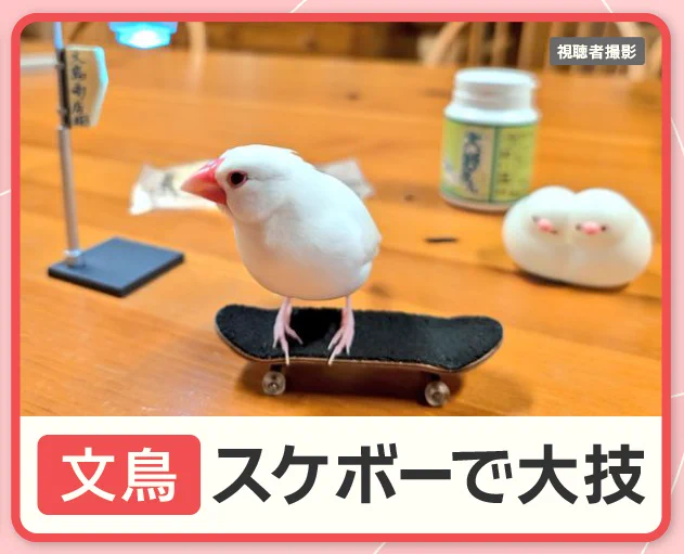羽鳥慎一モーニングショー on X: 