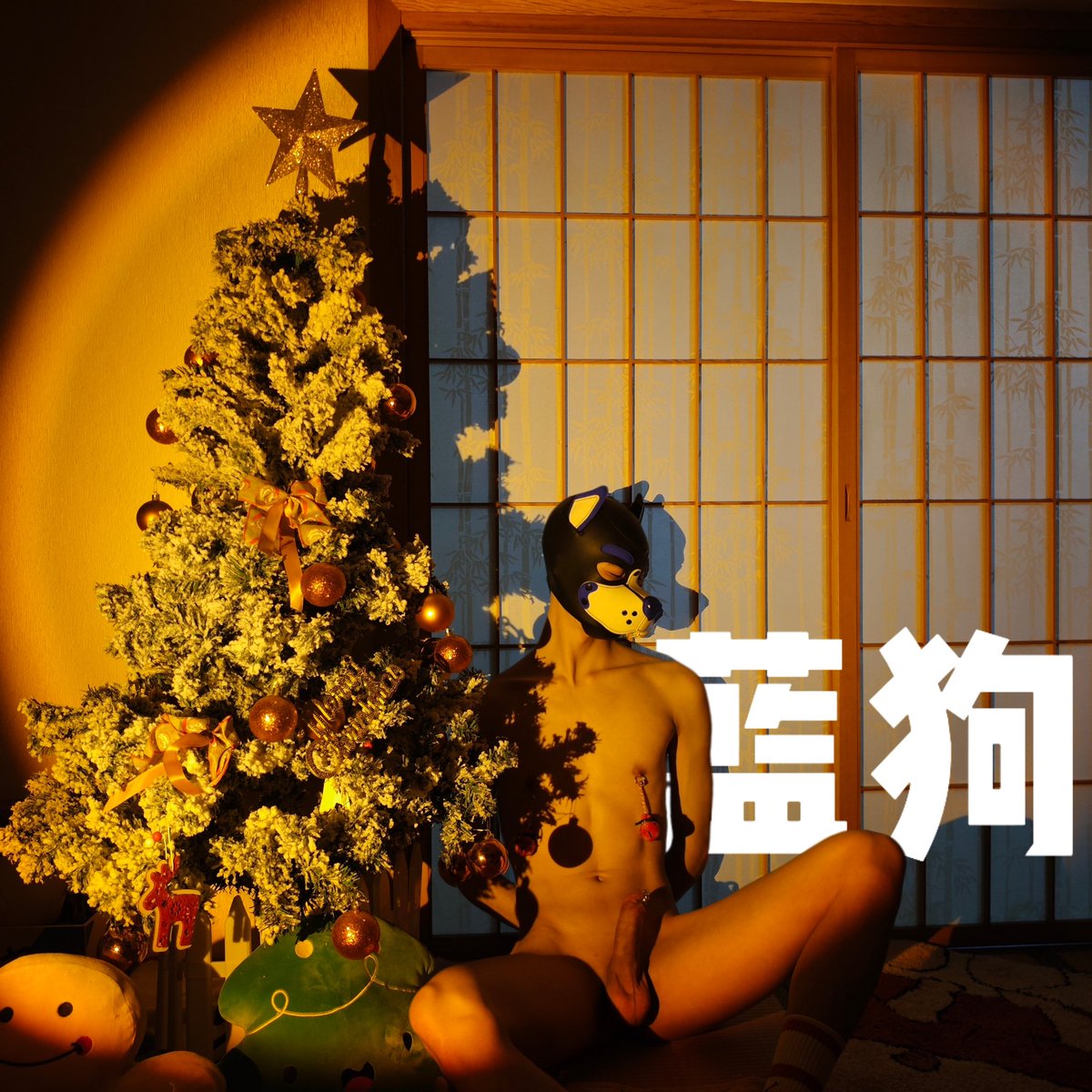 是谁许愿要纯情修狗的？昨天圣诞老人差点把我绑走！