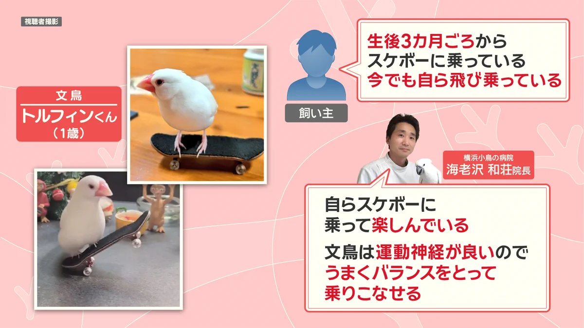 羽鳥慎一モーニングショー on X: 