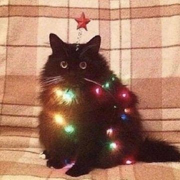 Merry Christmas everyone! ☃️💙🫧