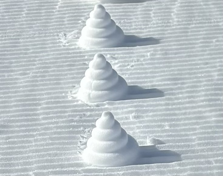 友達と雪でうんこ作ってキッズたち喜ばせようぜ！って並べた後離れて様子見てたら「うんこや！うんこある！！！」ってめっちゃ興奮してたのほぼお父さん側だった