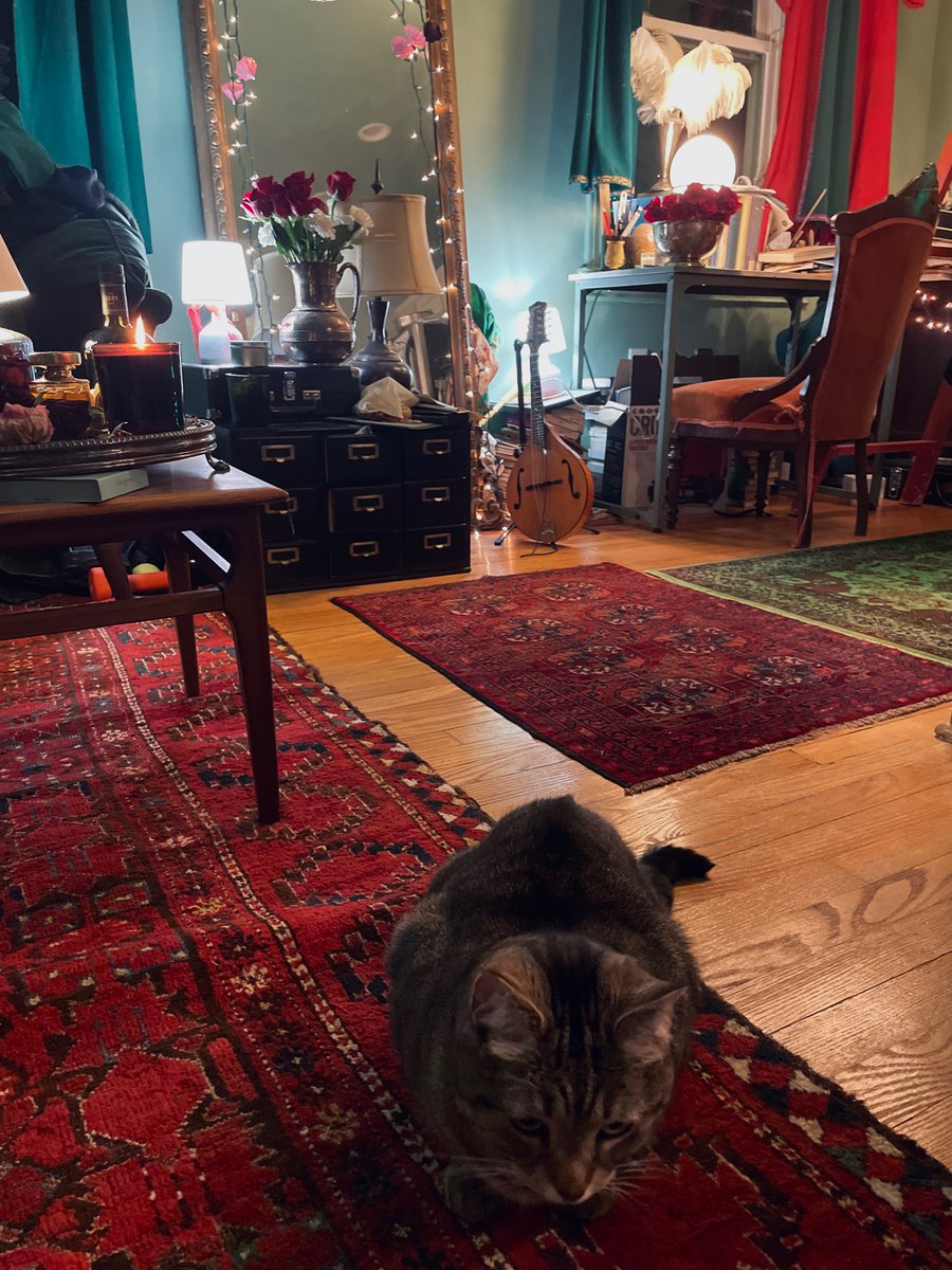 the needle-felted head of joyce carol oates tweet media