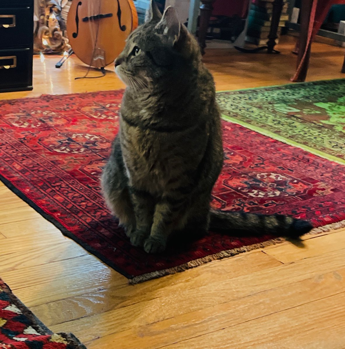 the needle-felted head of joyce carol oates tweet media