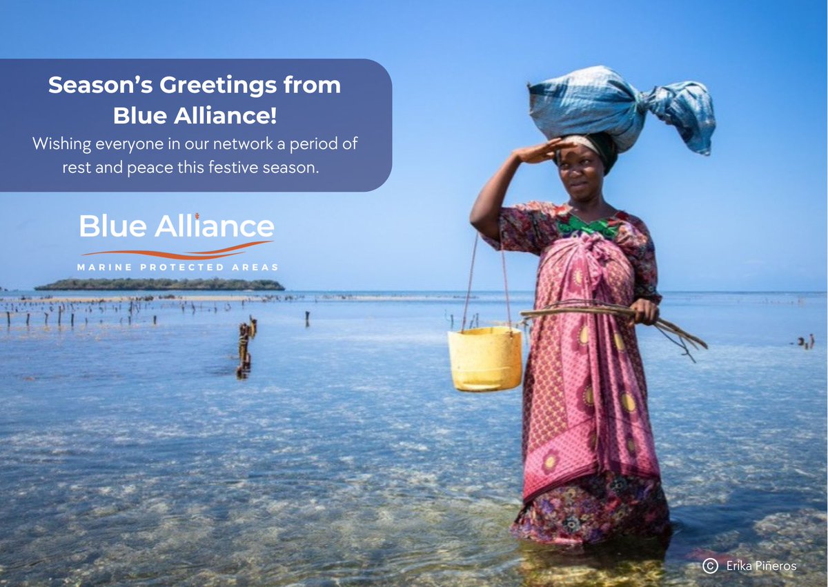 Season’s Greetings from Blue Alliance! 

We want to say a heartfelt thank you to you all for being part of the Blue Alliance community. We look forward to continuing this impactful journey full of strong partnerships and collaborations with you in the year ahead! 💙