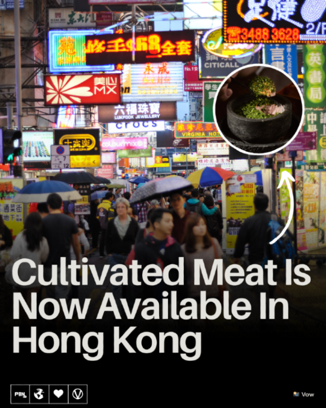 Plant Based News tweet media