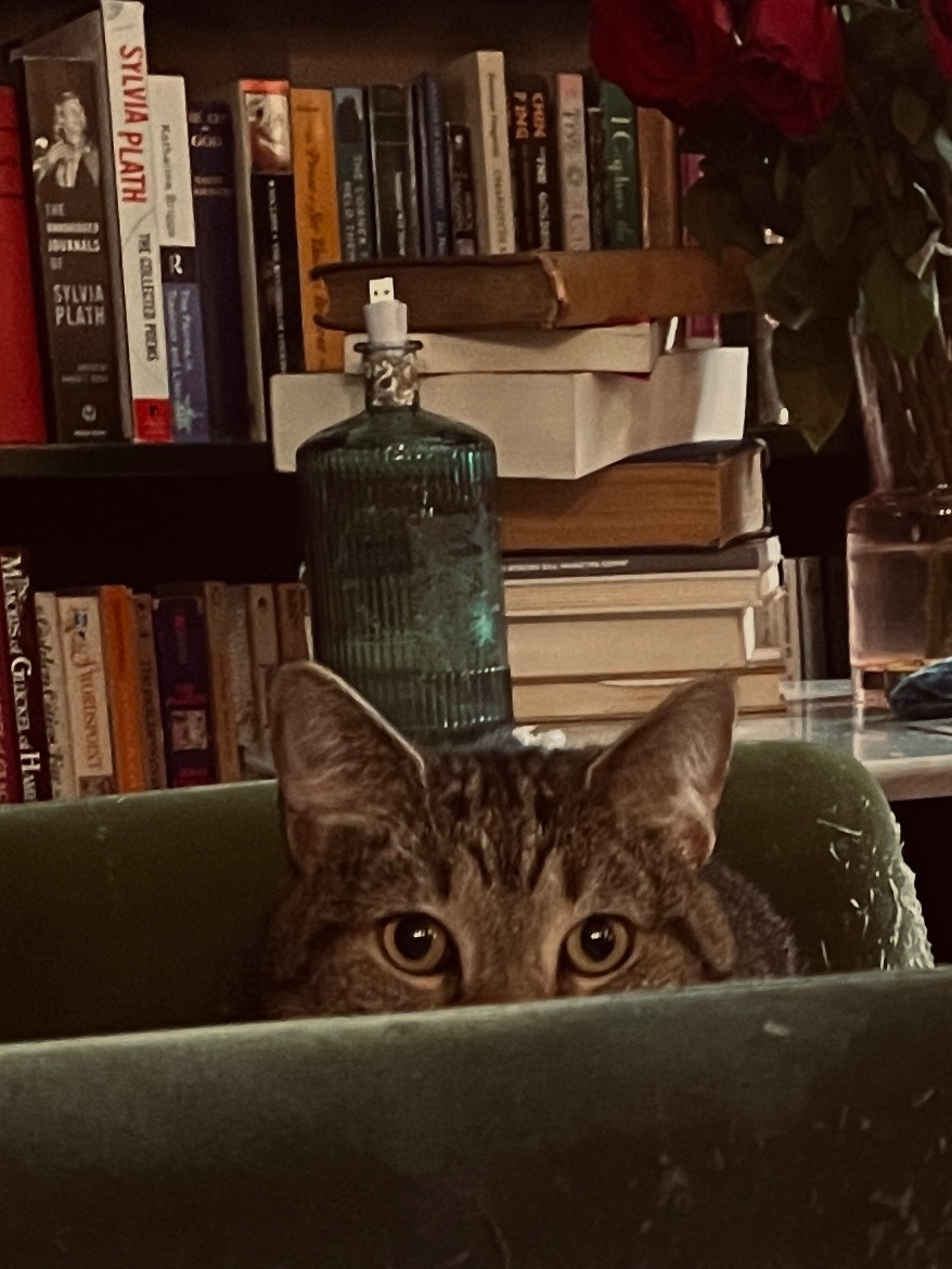 the needle-felted head of joyce carol oates tweet media