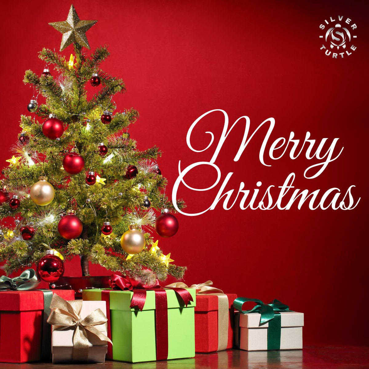 silverturtlesol's tweet image. Warm Wishes from us at Silver Turtle Solutions! 🎄✨

This Christmas, may your hearts be full of joy, your homes filled with laughter, and your dreams shining brighter than ever. 

Here’s to growth, gratitude, and new beginnings.

Merry Christmas! 🎁 #silverturtlesolutions