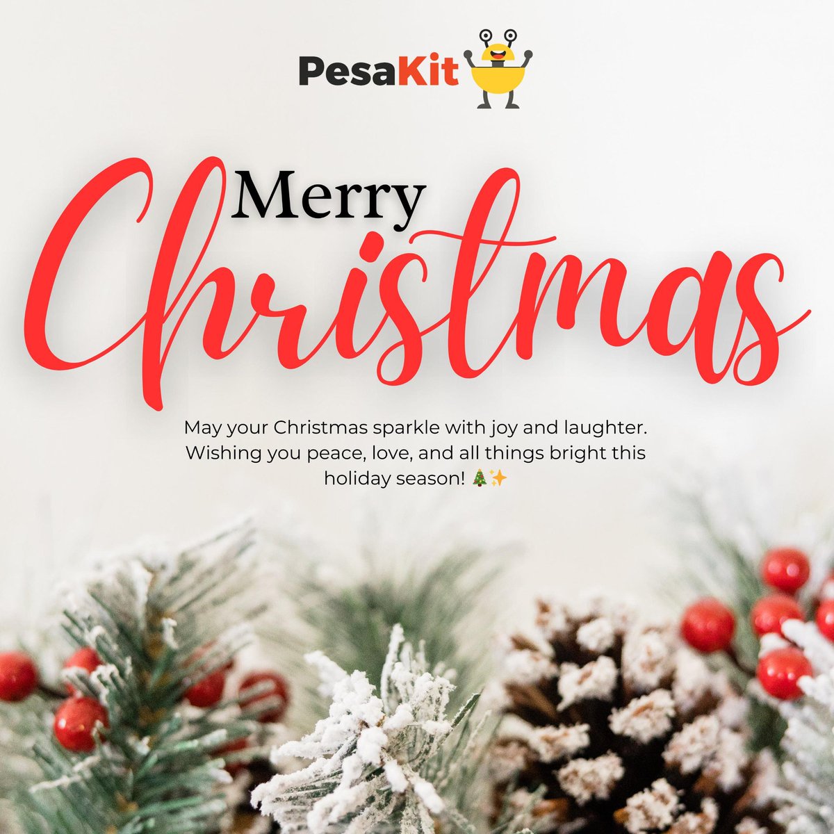 Merry Christmas from PesaKit! 🎄✨ Wishing you a season filled with joy, love, and laughter. Let’s cherish these moments together and look forward to brighter days ahead!