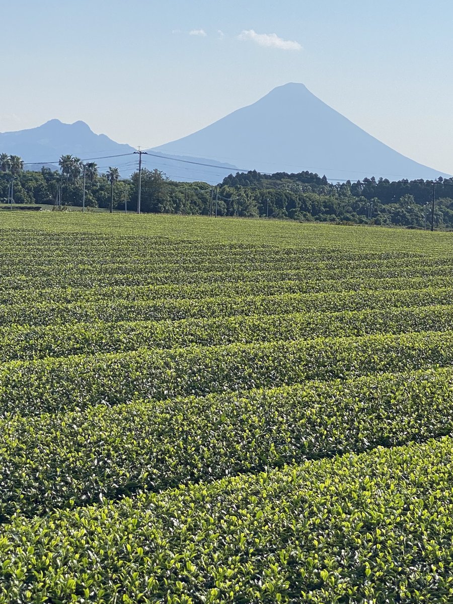 Japan Greentea Co.,Ltd. (Japanese Matcha) (@japanmatchatea) / Posts / X