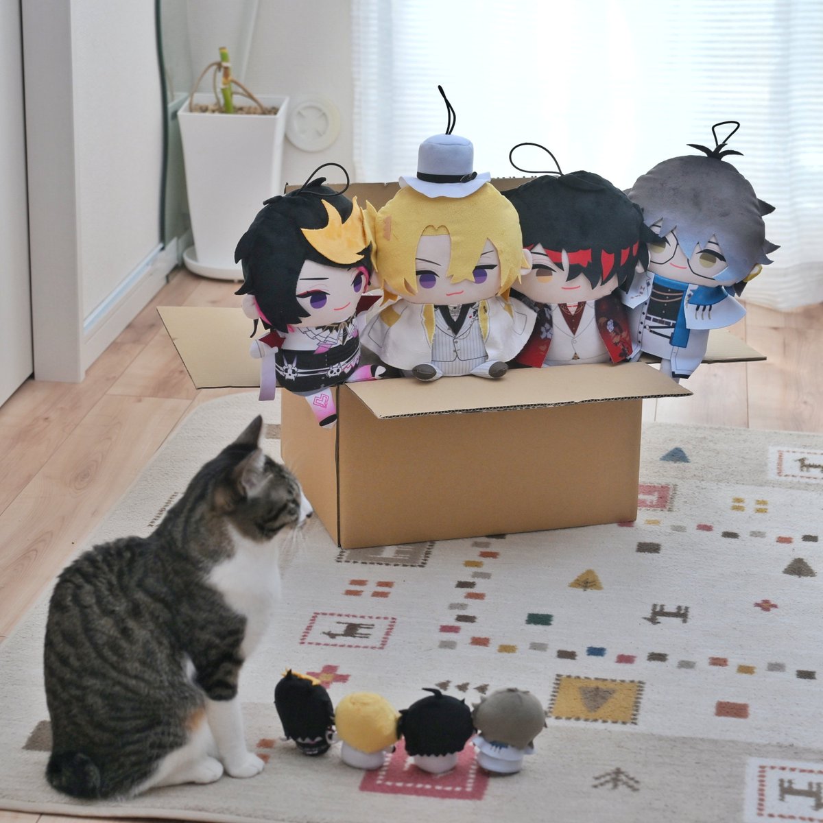 ねこちゃんも写真に写りたい