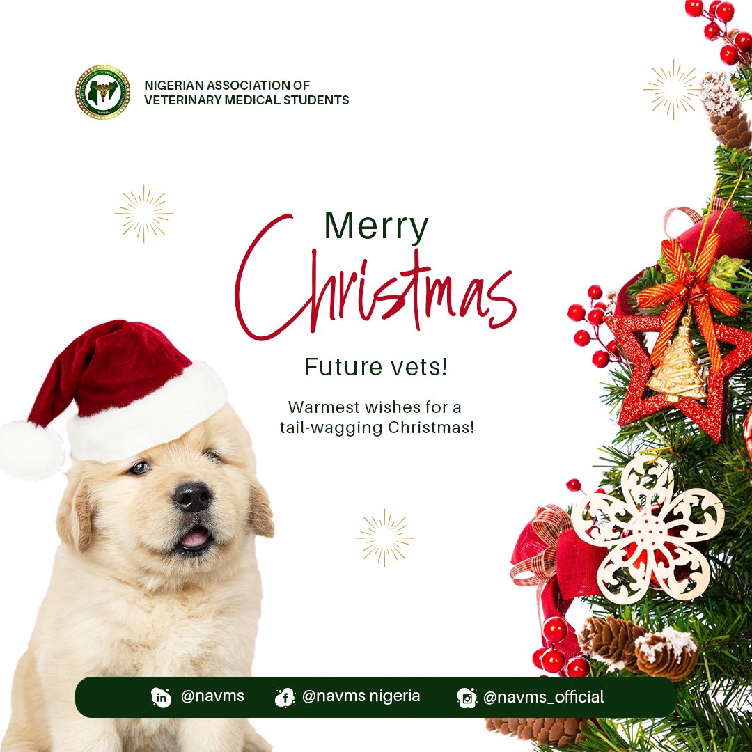 As we celebrate this joyous season, we wish you love, happiness, and warmth. May this special time of year reignite your passion for veterinary medicine and inspire you to continue making a positive impact on the world.
Merry Christmas, future vets!

Best regards,
NAVMS NEC