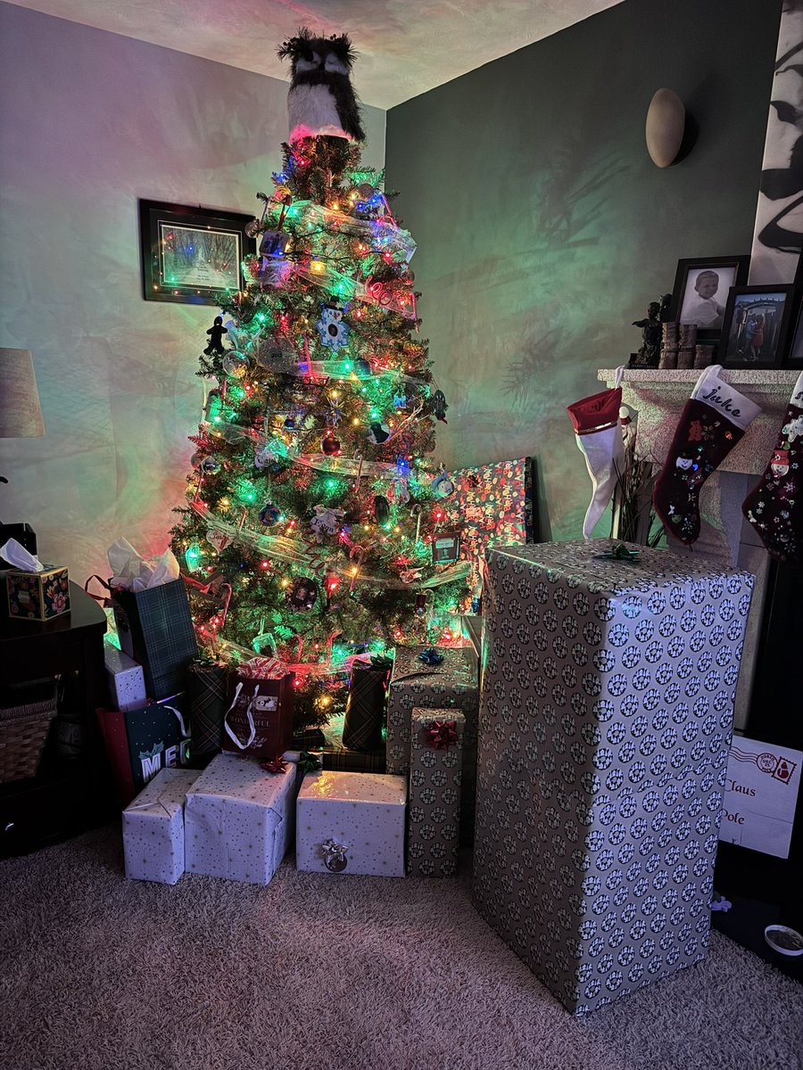 X-Ray Barbie💞; Sarah with an H (Mama Smoke) tweet media