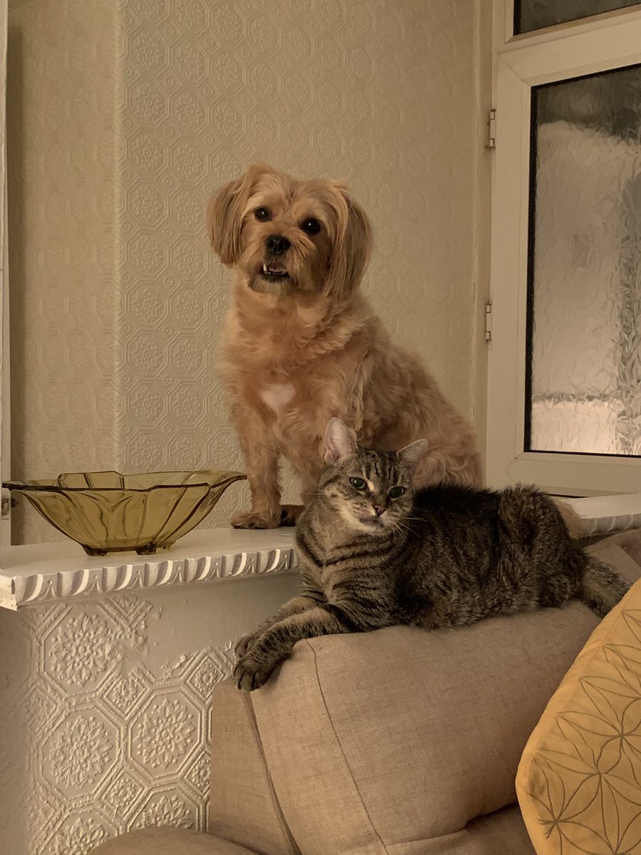 Bea’s mum - Lian Moppy-Rees tweet media