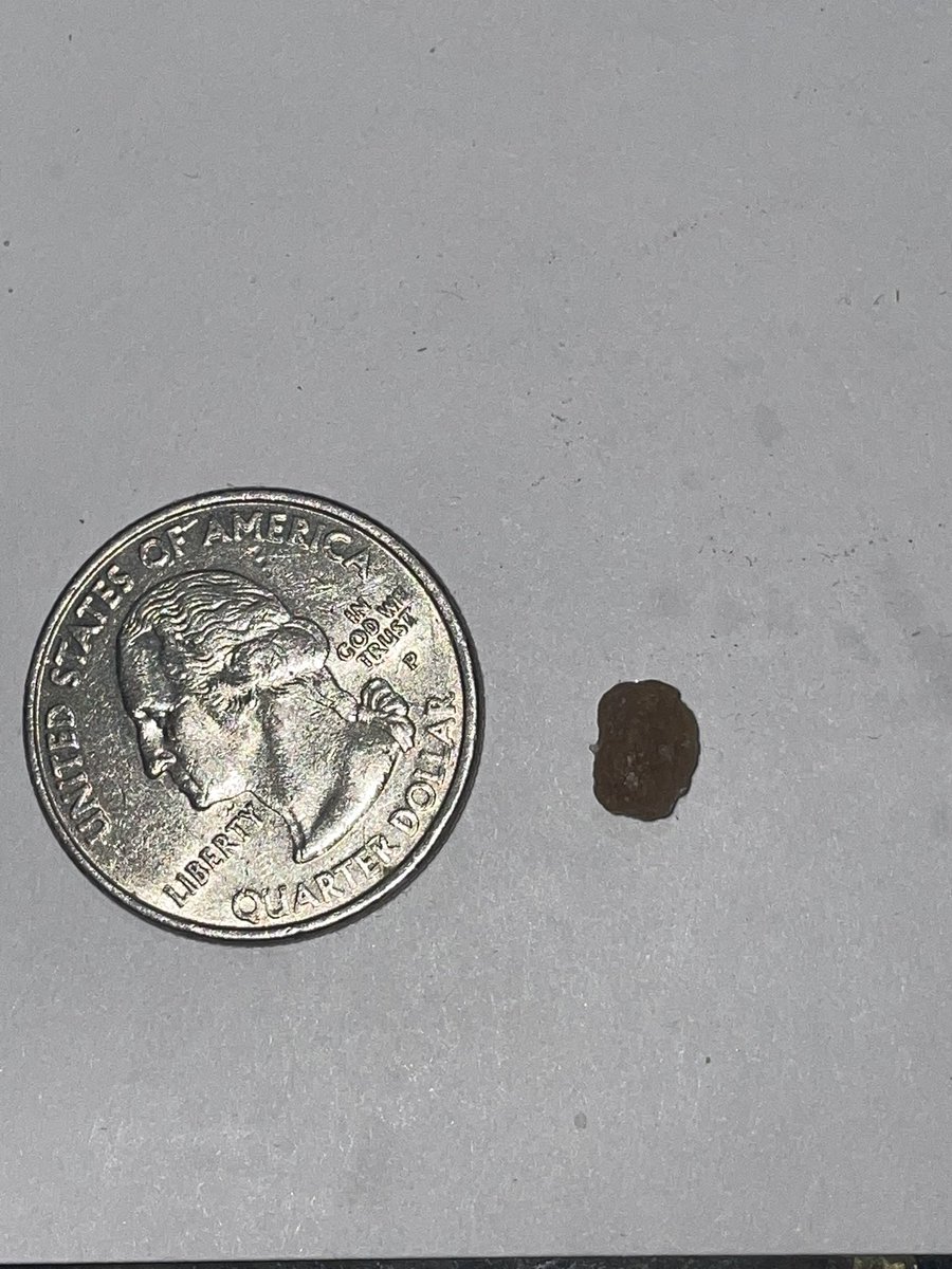 CashOB1's tweet photo. @HalsNewYork I love your potato chips especially the salt and black pepper ones but unfortunately I just bit down on a small rock that was in this bag of original sea salt chips.  I’m not mad cause the chips are great but I just wanted to tell you guys about it. https://t.co/fSssMiAJ2c
