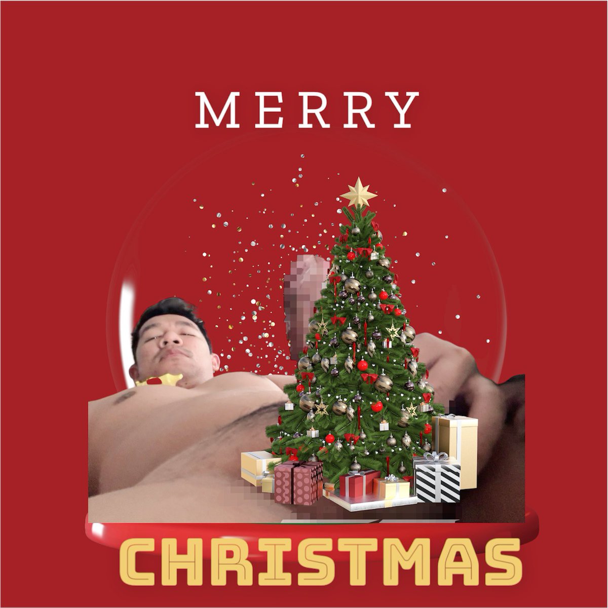 Merry Christmas 2024🎄🧸