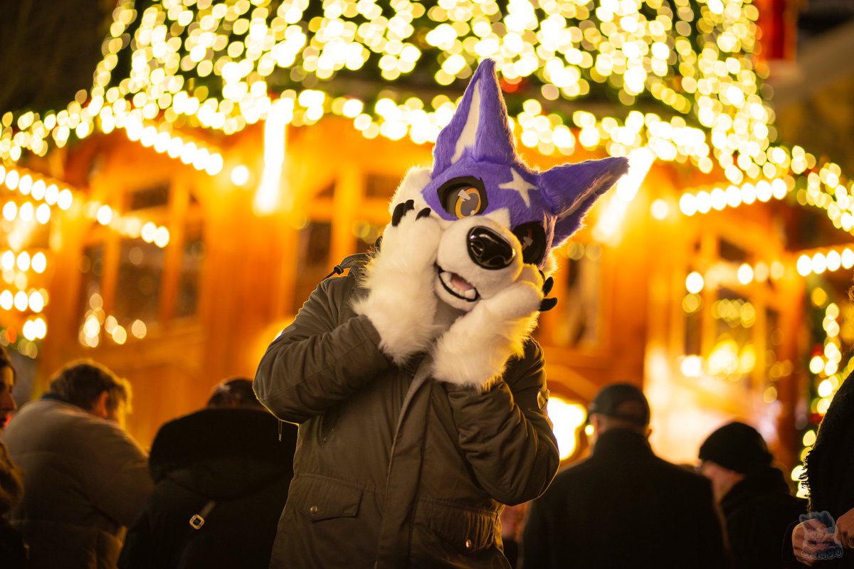 Razor the Palamute wishes you a happy howlidays awoooo!

📸 <a href="/SamyoFox/">SamyoFox</a> 
🪡 Me