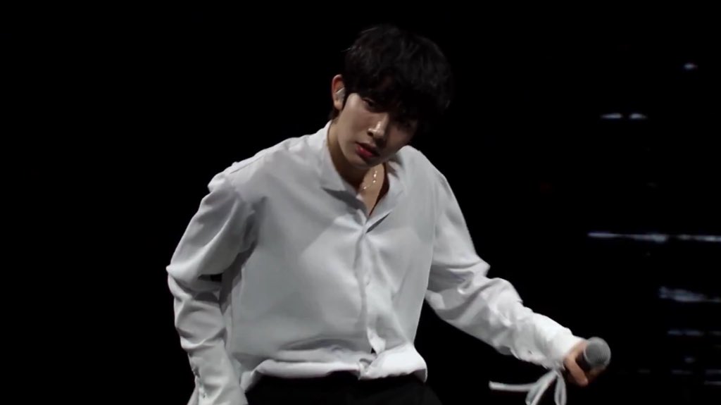 lhslovespace's tweet image. butterfly 🦋                                      swan lake 🦢