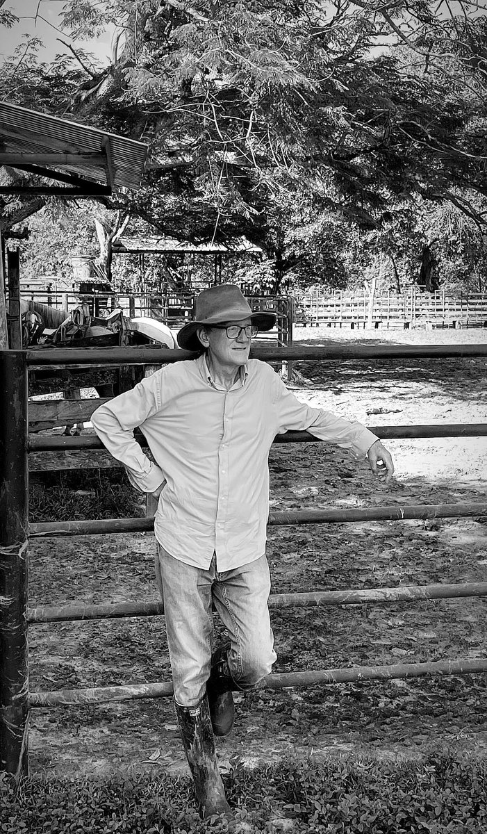 Rodrigo Sandoval Araújo 🏳️⚧️🏳️🌈 tweet media