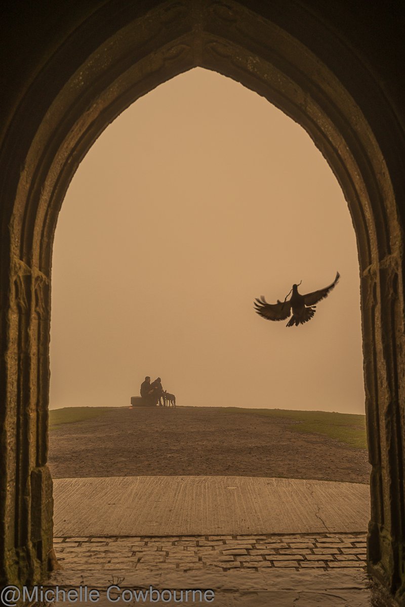 It was a bit foggy up on Glastonbury Tor this morning on Christmas day. A bird was busy building it's nest in the tower flying back and forth. However you celebrate this time of year I hope your day is filled with peace.