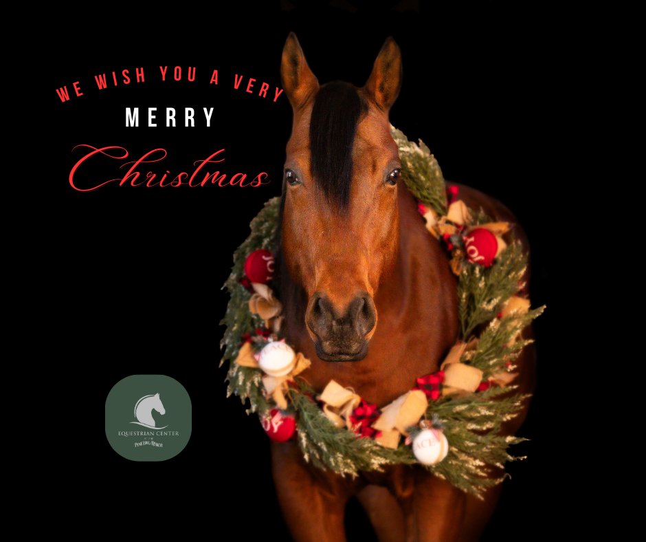 Wishing you a Christmas that is merry, bright, and full of peace and love. Merry Christmas from all of us at The Pine Hill Ranch. 🐎🎅🎄