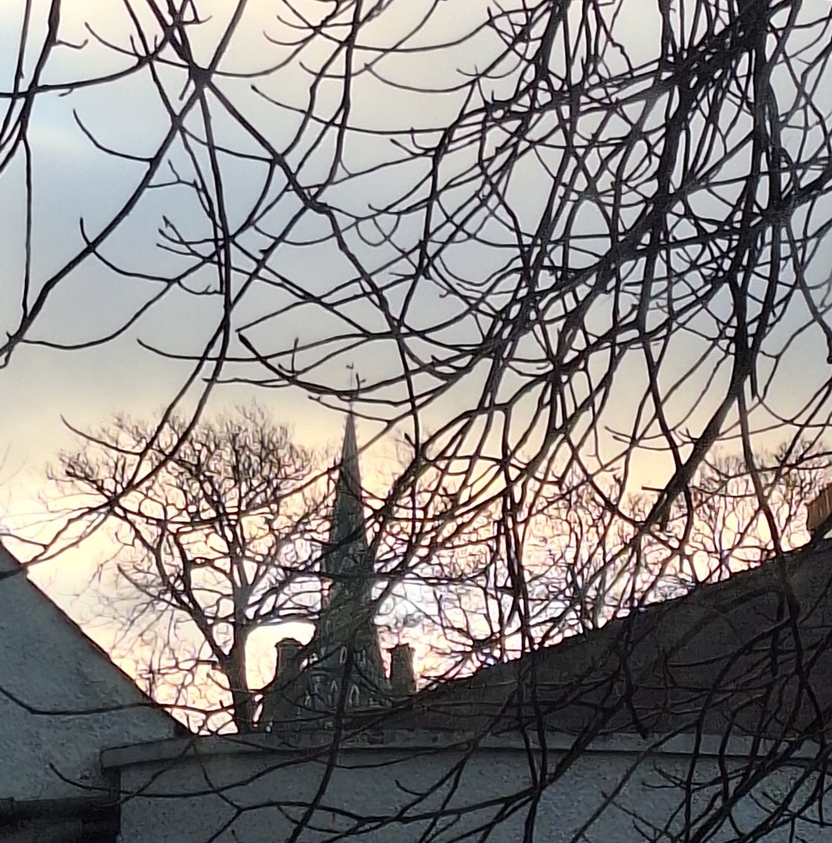 Bruce Findlay /power to the people 🕊✌ tweet media