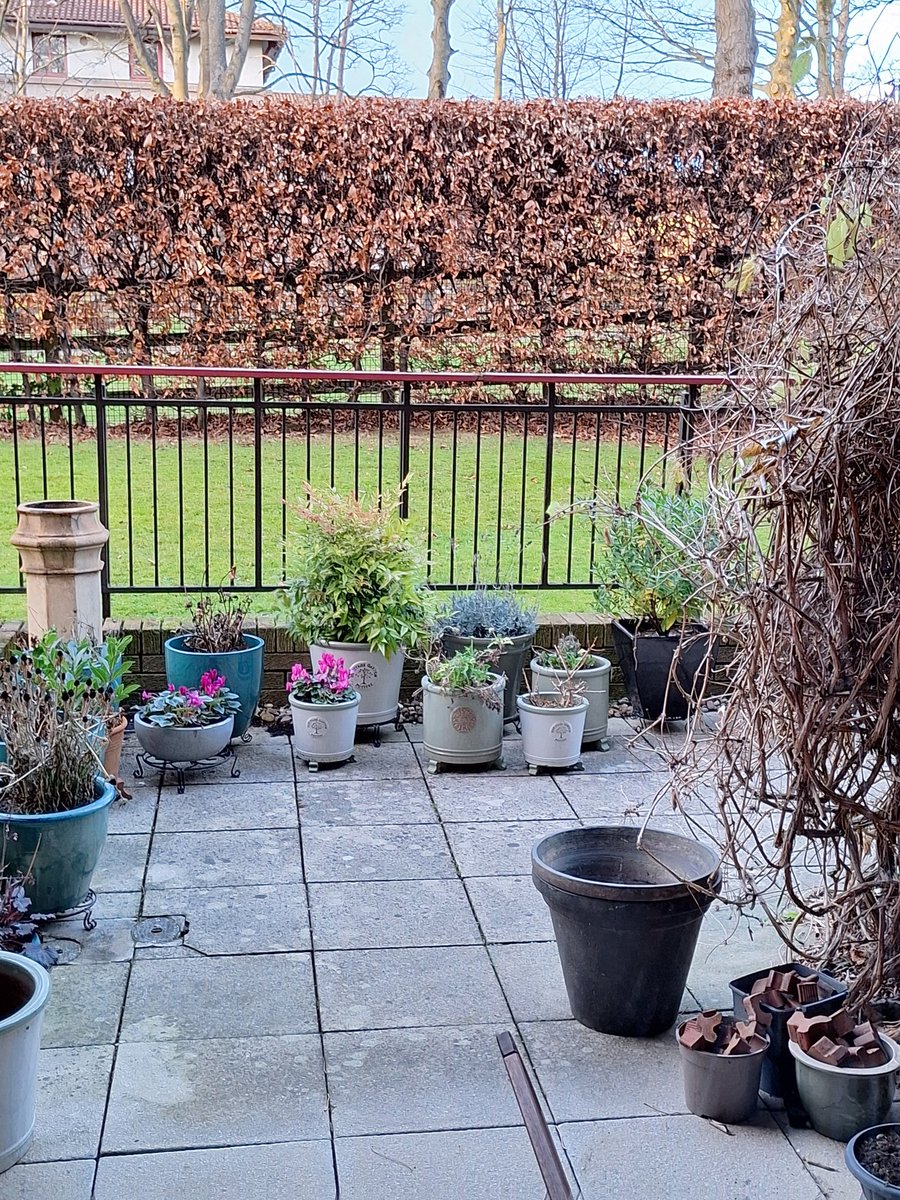 Bruce Findlay /power to the people 🕊✌ tweet media