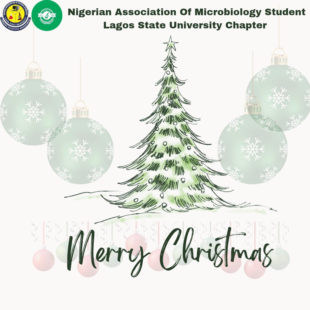 May this Christmas bring you peace, happiness, and moments of togetherness. MERRY CHRISTMAS NAMS-LASUITE