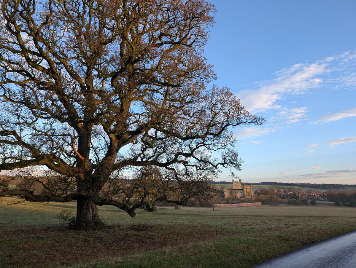 Lovely #ChristmasDay morning walk as mist gives way to sunshine. <a href="/DuncombePark/">Duncombe Park</a> <a href="/VisitHelmsley/">VisitHelmsley</a> #YORKSHIRE. #MerryChristmas to all...