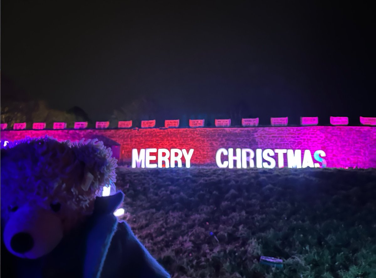 FlynnTheBear's tweet photo. Merry Christmas everyone. #Christmas #FlynnTheBear #BishopAuckland #BishopsPalace #Aglow https://t.co/6Nj3VJWQkd