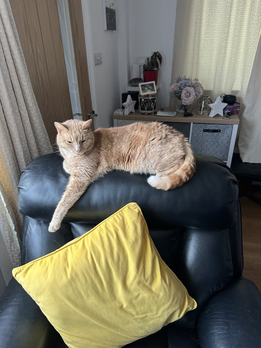 larcombe_ford's tweet photo. @Number10cat https://t.co/tpBjlEHLJq