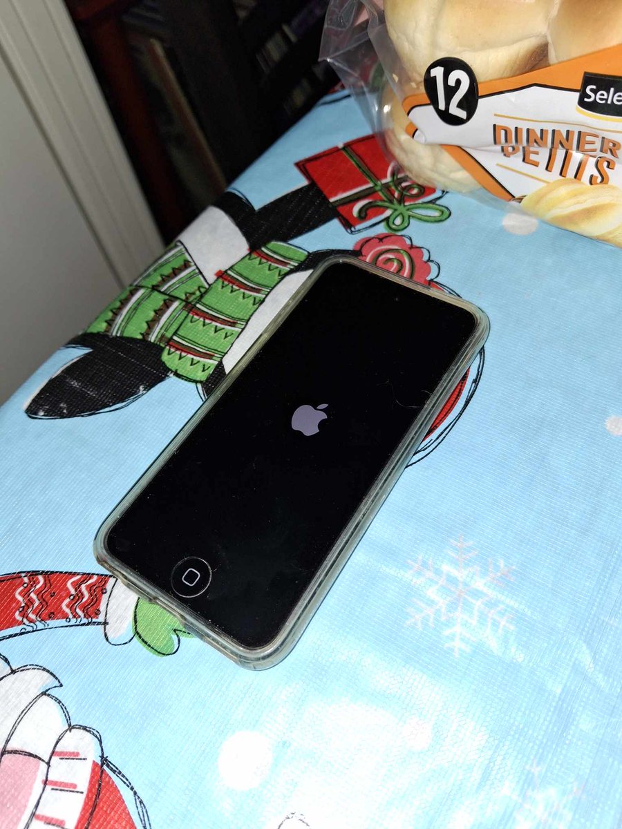 alexiogrenier's tweet photo. A boot looping iPod for Christmas . So nice. Thanks Apple for doing such mess on devices that are still usable. Good thing that I have my Hiby coming soon, it's going to be a goodbye for Apple. (Some of them) #Apple #Meh #MerryChristmas #Bootloop #Woah #Ipod #WhatADay https://t.co/W46PFVektn