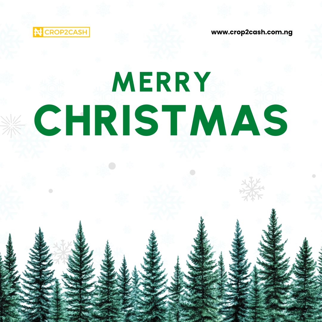 All of us at Crop2Cash wish you a Merry Christmas and a prosperous New Year! 🌟 Here's to growing success, flourishing farms, and abundant harvests in the year ahead. 🎄🎉 #Crop2Cash  #MerryChristmas