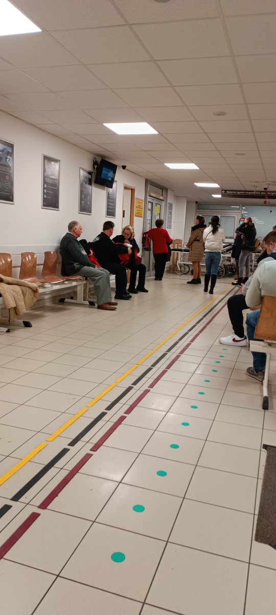 Rene Zieck tweet media