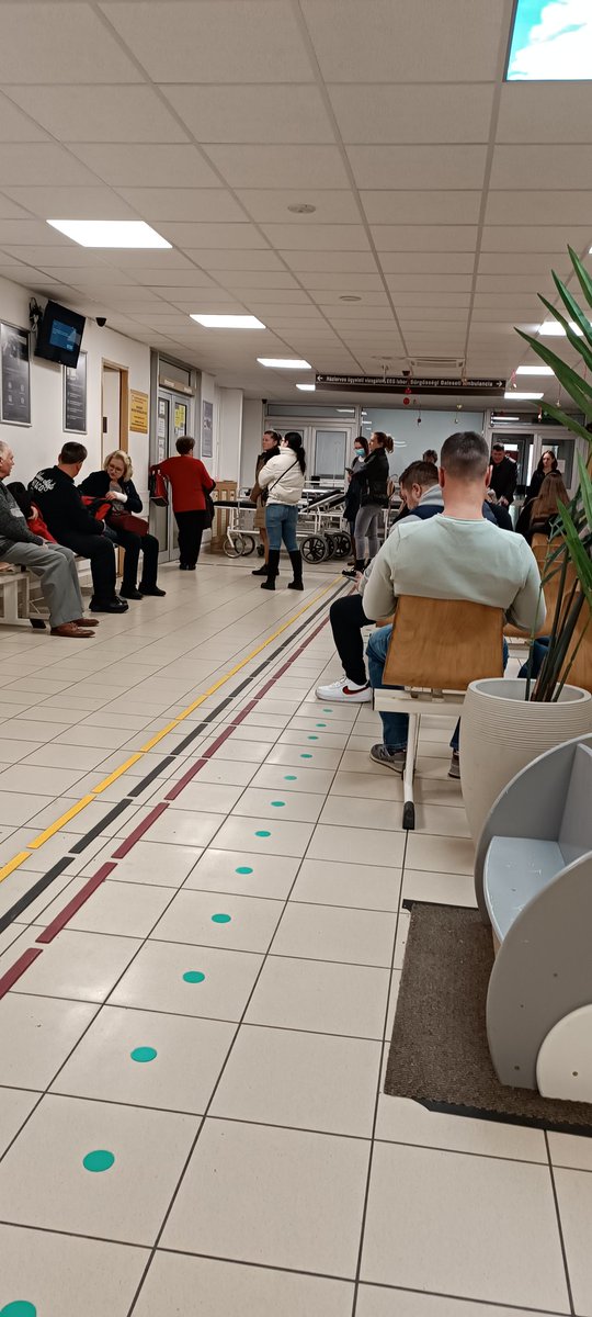 Rene Zieck tweet media