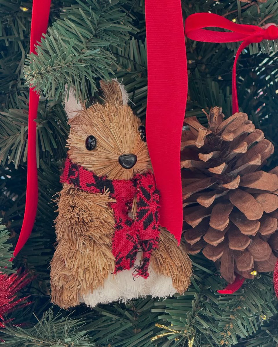 Holly jolly!  🎄 Going abroad is indeed for a job. But, I highlight the holidays, winter, and Christmas Eve which I look forward to hoping Santa will come. All blessed holiness, the best reminiscing at the end of my year, all the riches of this truly love will always accrue. ♥️