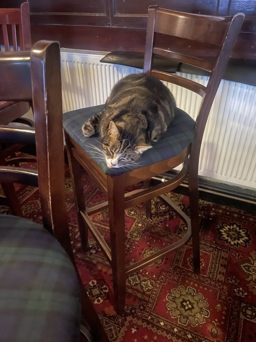 Olde cottage tweet media