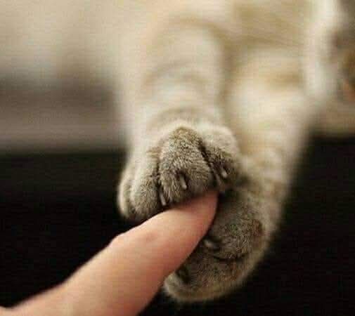 zin_maha's tweet photo. وحشتني ..

من ألفاظ أهل مكّة في التّعبير عن الشّوق والحنين . 
وهي من صريح الكَلِم ، وصحيحه القديم ؛ 
غير أنّ الاستعمال الصّواب هو
 " أوحشتني " بإضافة الألف ؛ أي أدخلت على روحي الوحشَة بسبب غيابك عنّي . https://t.co/lOuydrNFLp