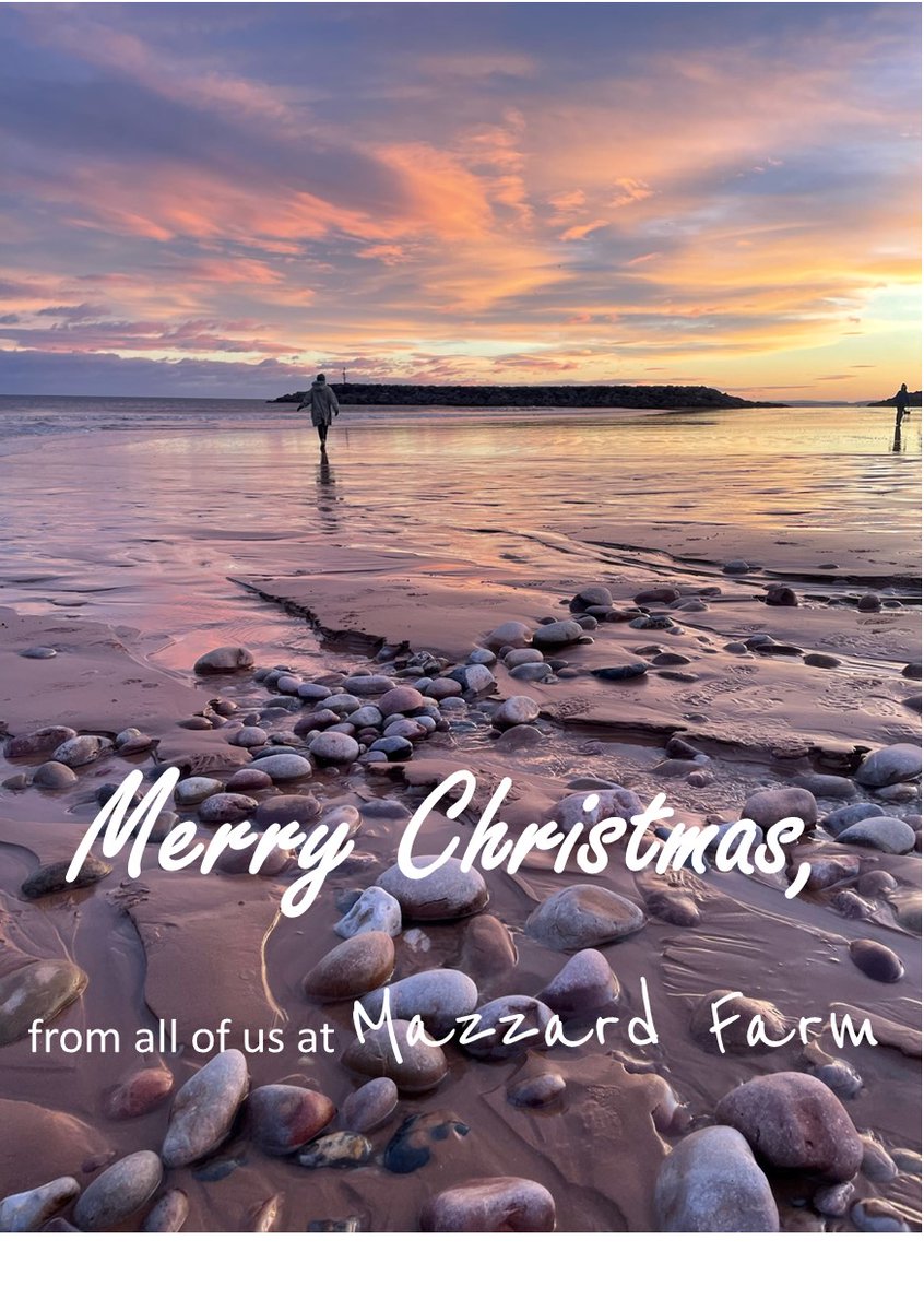 Not In My Name For Now tweet media